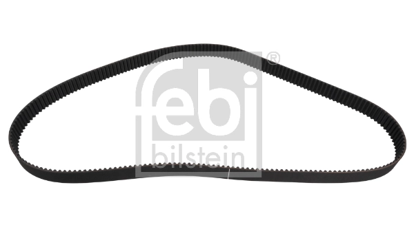 Timing Belt